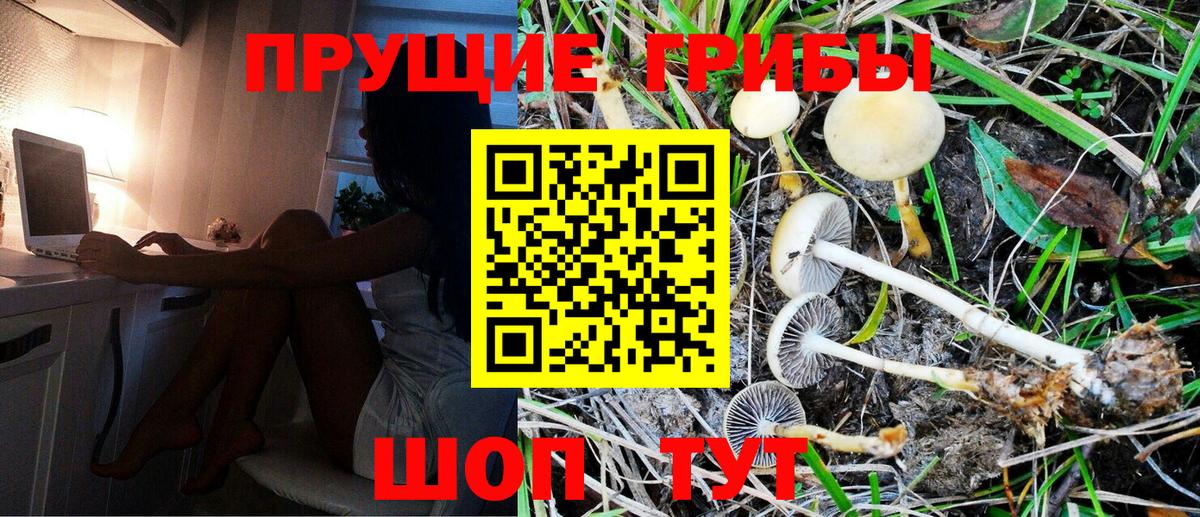 Псилоцибиновые грибы Magic Shrooms Димитровград