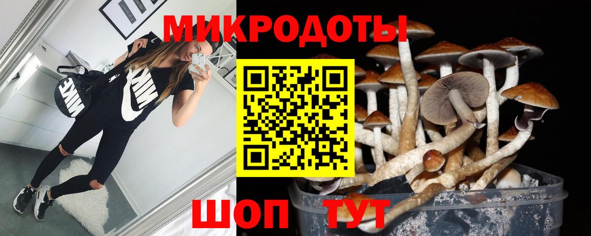 Димитровград  Галлюциногенные грибы мухоморы  Вход с VPN 